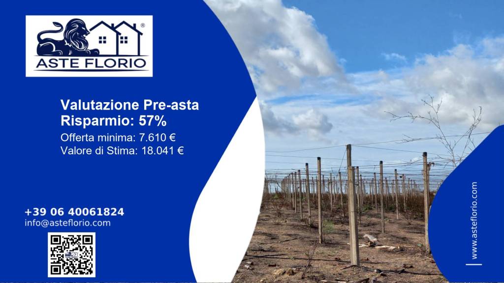 terreno agricolo in vendita a Mazzarrone