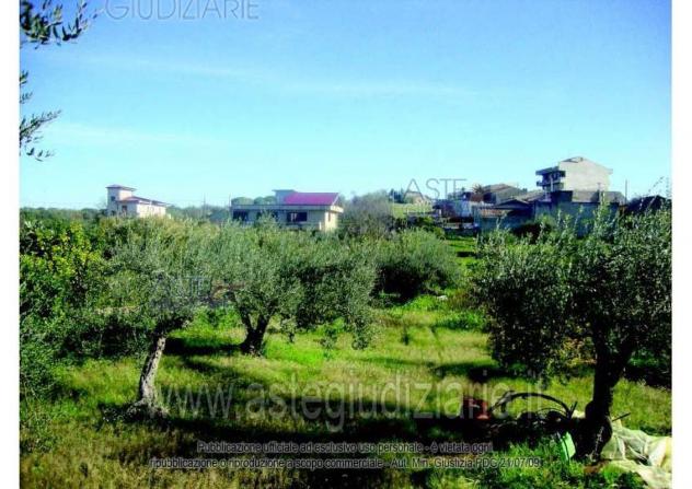 terreno agricolo in vendita a Mazzarrone