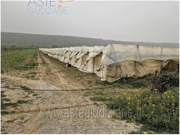 terreno agricolo in vendita a Mazzarrone