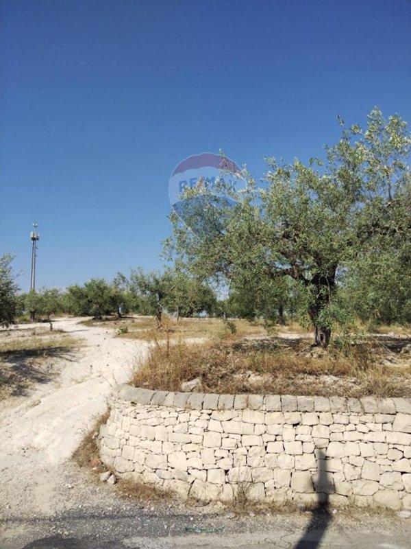 terreno agricolo in vendita a Mazzarrone