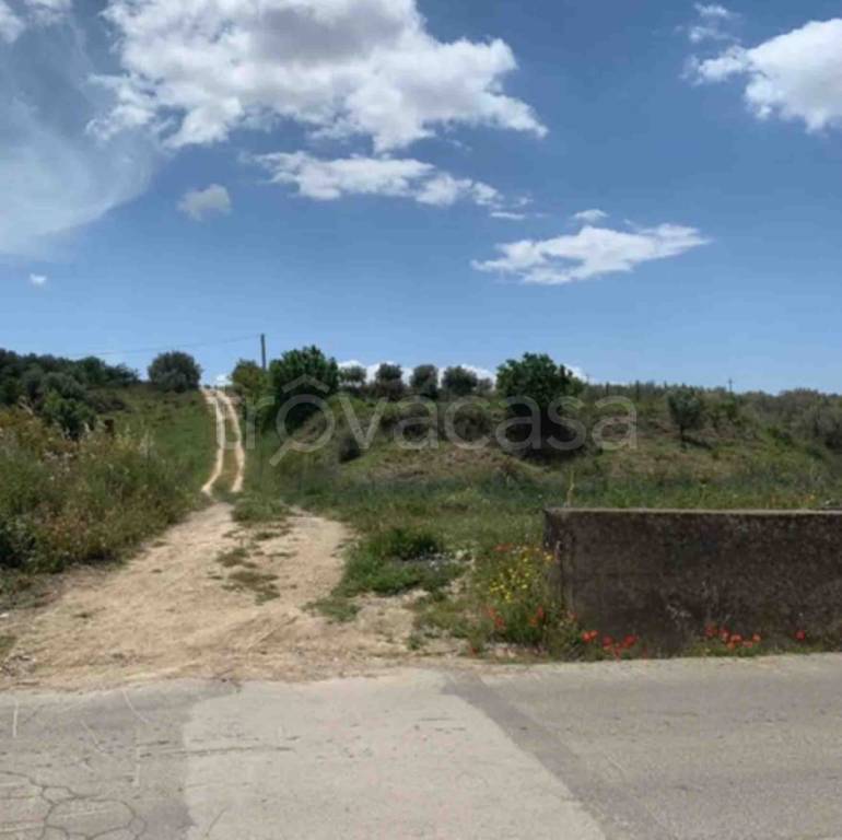 terreno agricolo in vendita a Mazzarrone