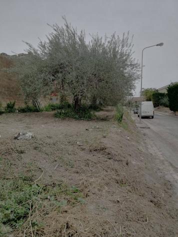 appartamento in vendita a Mazzarrone