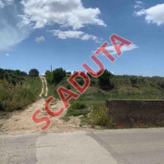 terreno agricolo in vendita a Mazzarrone