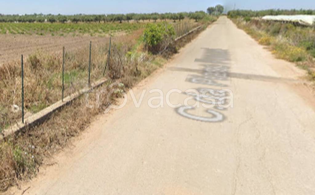 terreno agricolo in vendita a Mazzarrone