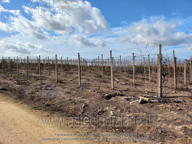 terreno agricolo in vendita a Mazzarrone