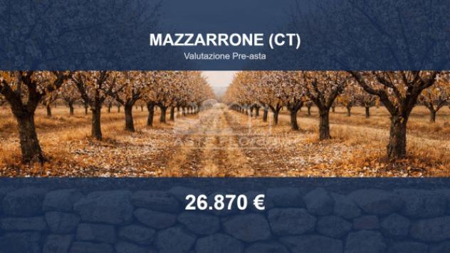 terreno agricolo in vendita a Mazzarrone