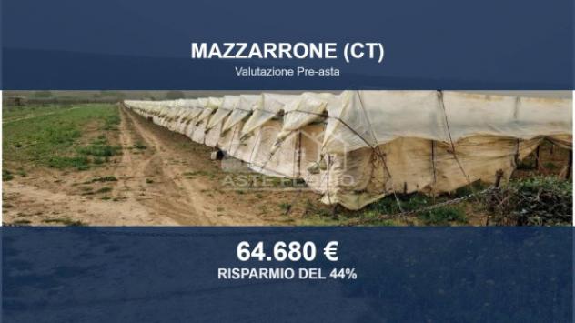 terreno agricolo in vendita a Mazzarrone