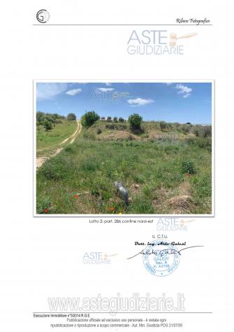 terreno agricolo in vendita a Mazzarrone