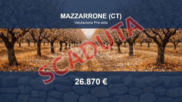 terreno agricolo in vendita a Mazzarrone