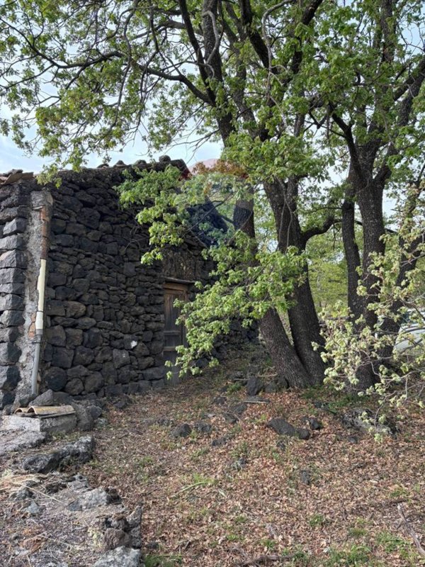 terreno agricolo in vendita a Ragalna