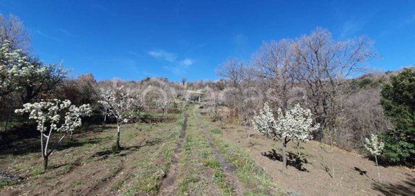 terreno agricolo in vendita a Ragalna