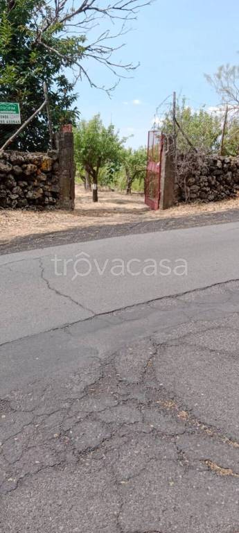 terreno agricolo in vendita a Ragalna