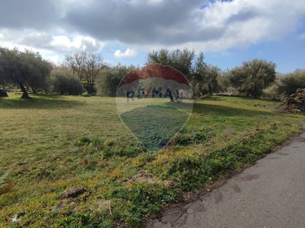 terreno agricolo in vendita a Ragalna