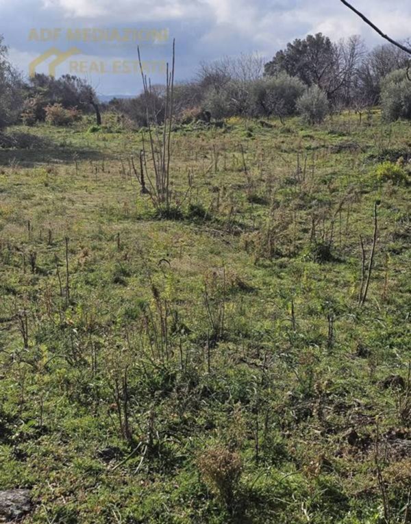 terreno agricolo in vendita a Ragalna