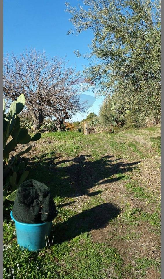 terreno agricolo in vendita a Ragalna