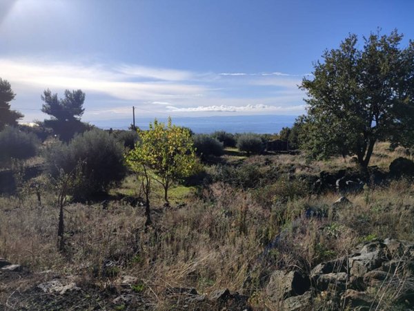 terreno agricolo in vendita a Ragalna
