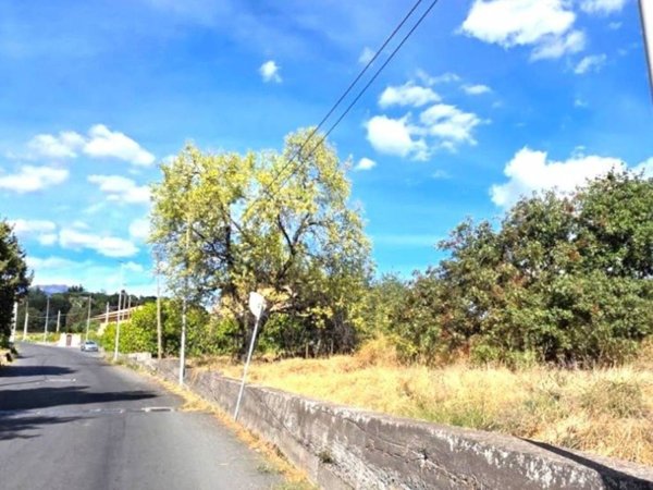terreno agricolo in vendita a Ragalna