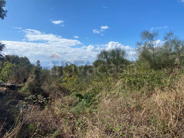 terreno agricolo in vendita a Ragalna