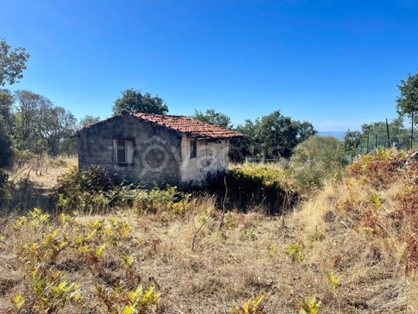 terreno agricolo in vendita a Ragalna