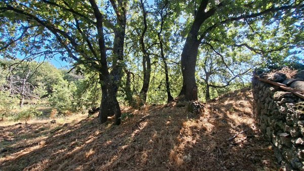 terreno edificabile in vendita a Ragalna
