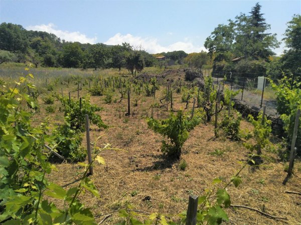 terreno agricolo in vendita a Ragalna
