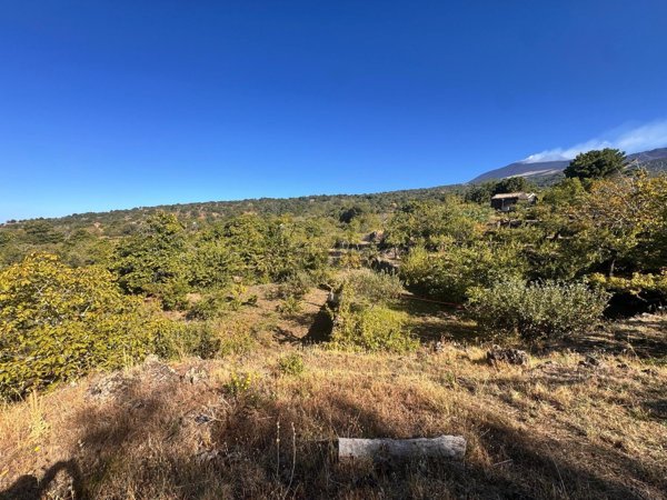 terreno agricolo in vendita a Ragalna