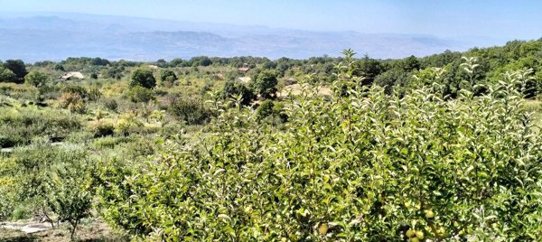 casa indipendente in vendita a Ragalna