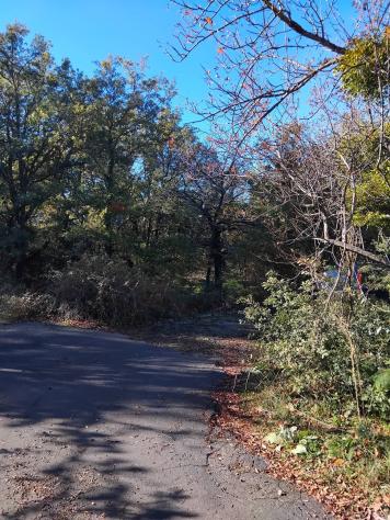 terreno agricolo in vendita a Ragalna