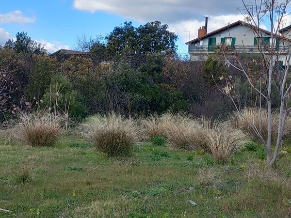 appartamento in vendita a Ragalna