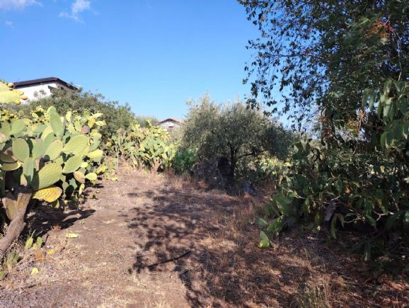 casa semindipendente in vendita a Ragalna