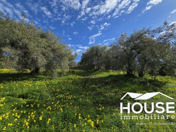 terreno agricolo in vendita a Ragalna