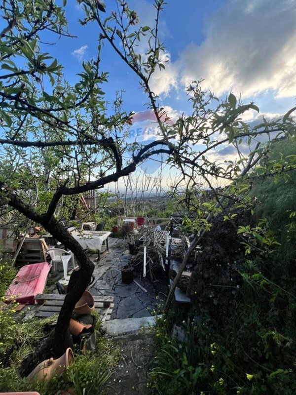 terreno agricolo in vendita a Ragalna