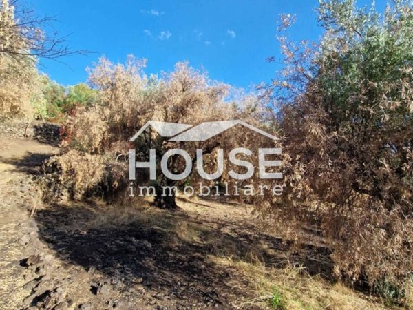 terreno agricolo in vendita a Ragalna