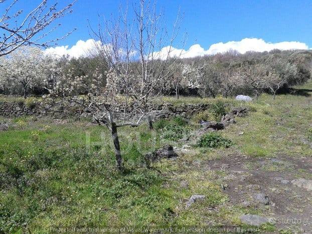 terreno agricolo in vendita a Ragalna