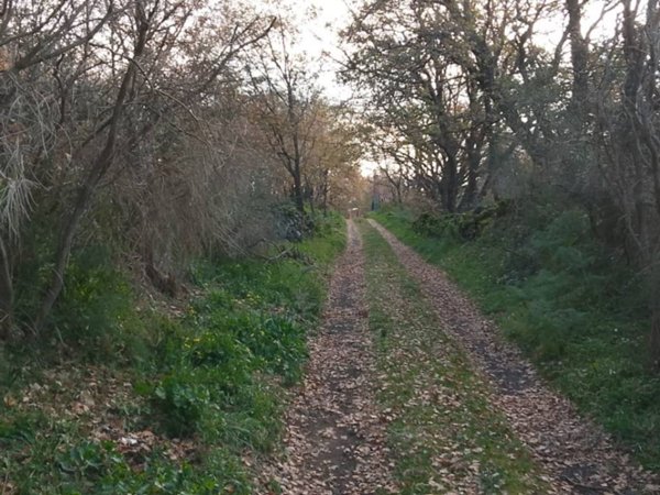 terreno agricolo in vendita a Ragalna