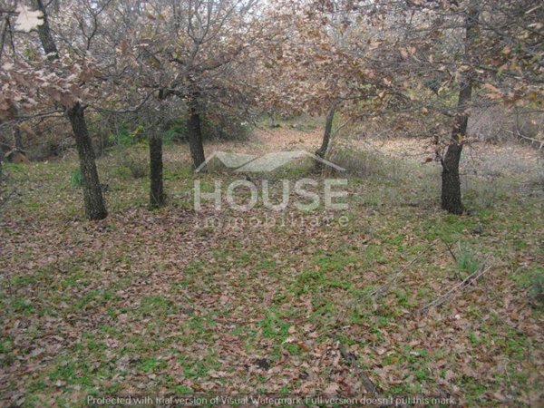 terreno agricolo in vendita a Ragalna