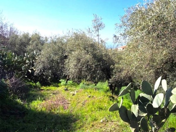 terreno agricolo in vendita a Ragalna