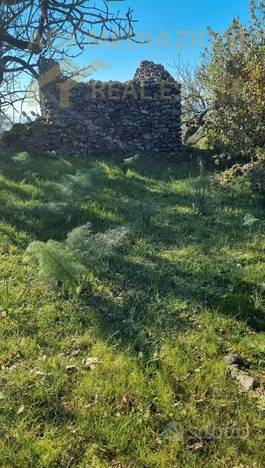 terreno agricolo in vendita a Ragalna