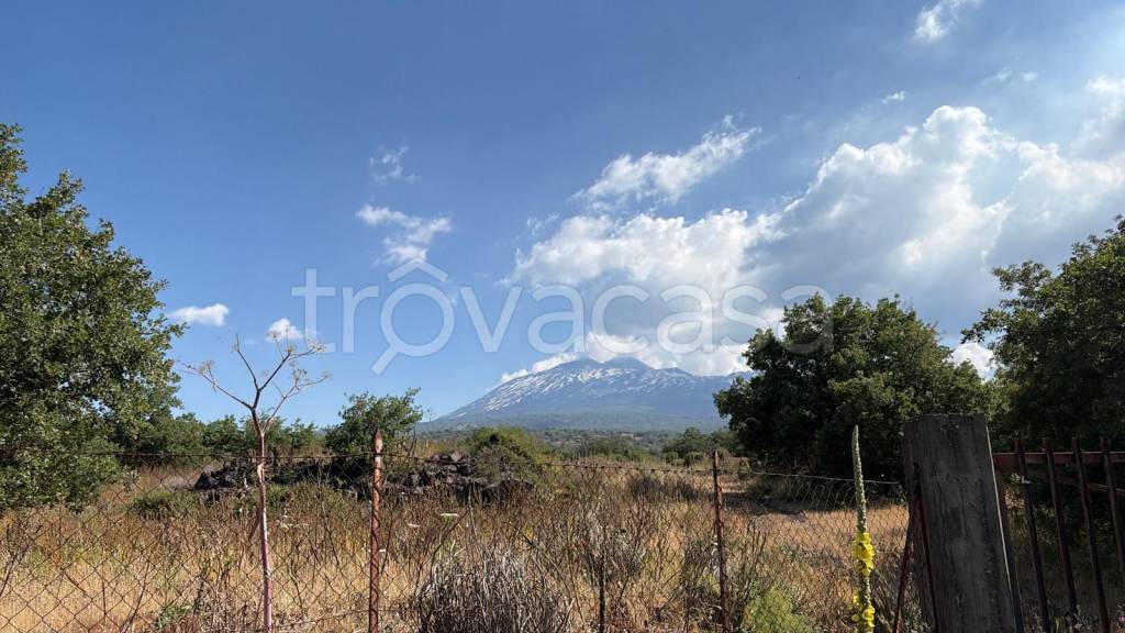 terreno agricolo in vendita a Ragalna
