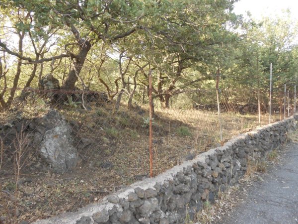 terreno agricolo in vendita a Ragalna