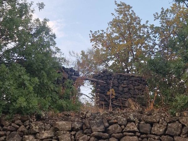 terreno agricolo in vendita a Ragalna