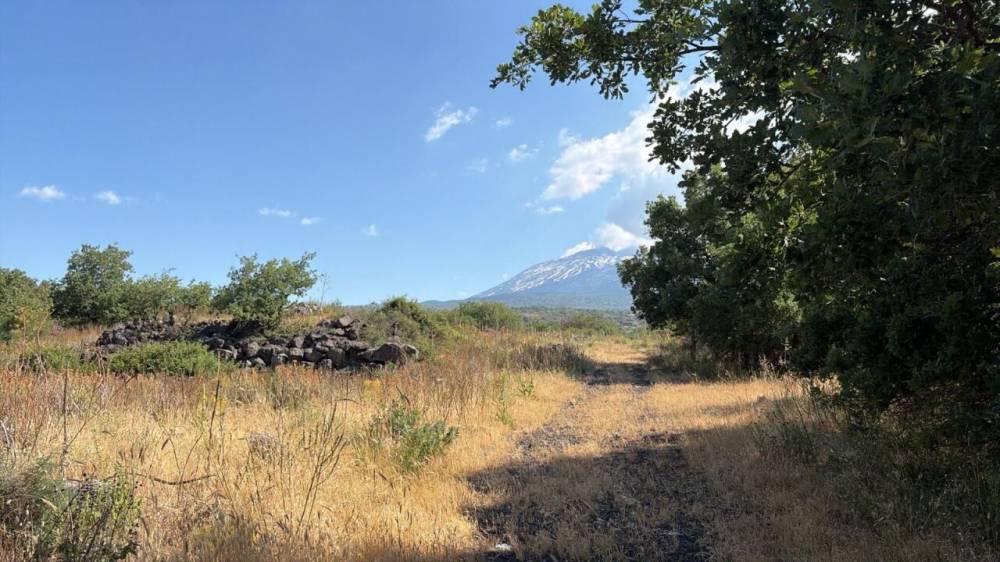 terreno agricolo in vendita a Ragalna
