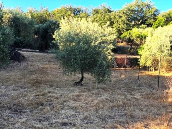 terreno in vendita a Ragalna