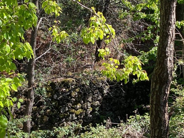 terreno agricolo in vendita a Ragalna