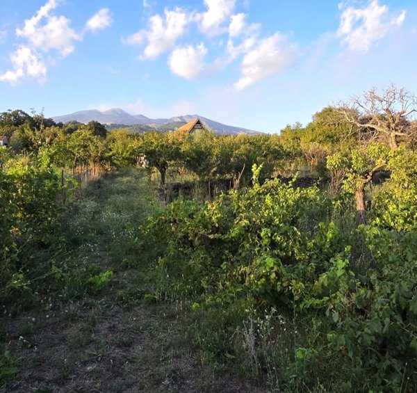 terreno in vendita a Ragalna
