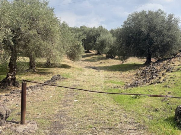 terreno in vendita a Ragalna