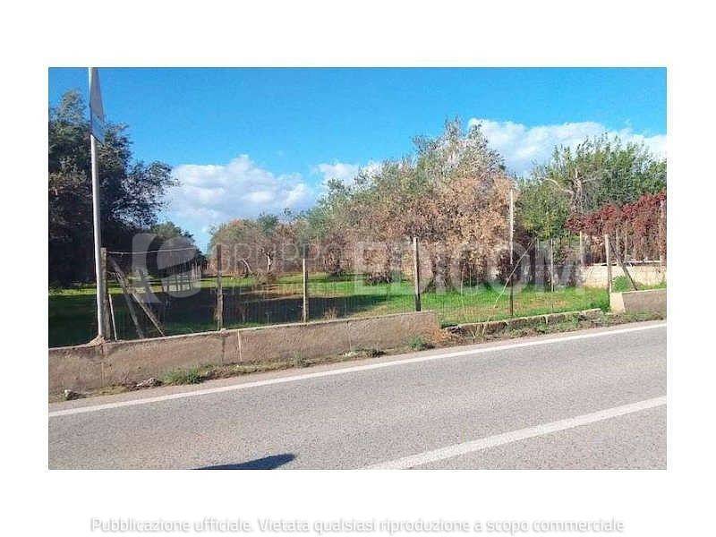 terreno agricolo in vendita ad Acate