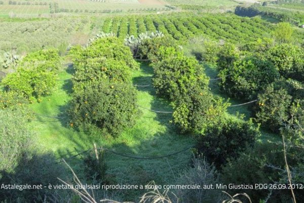 monolocale in vendita ad Acate