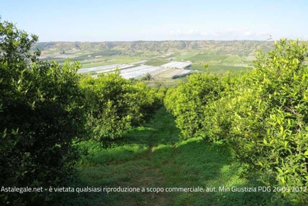 monolocale in vendita ad Acate