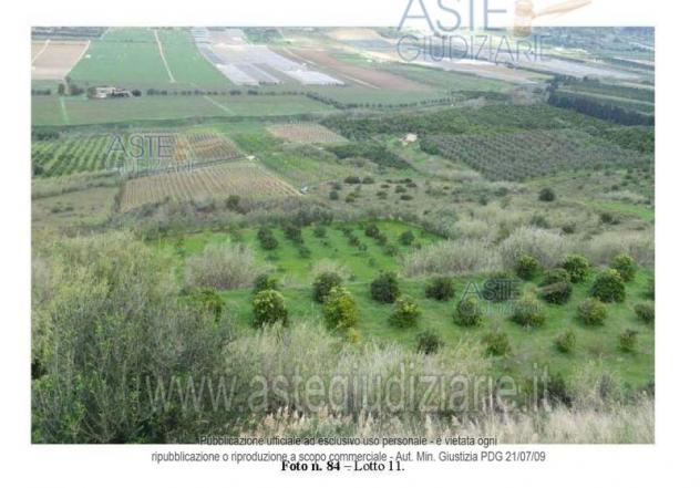 terreno agricolo in vendita ad Acate